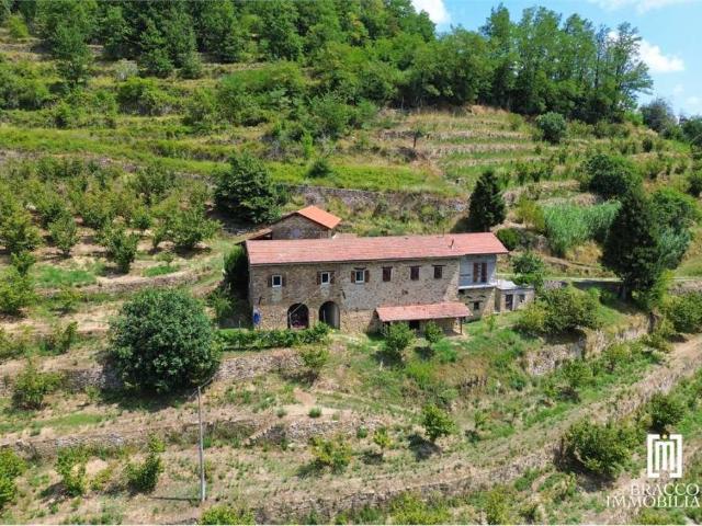 Rustico in vendita a Cortemilia, Cuneo
