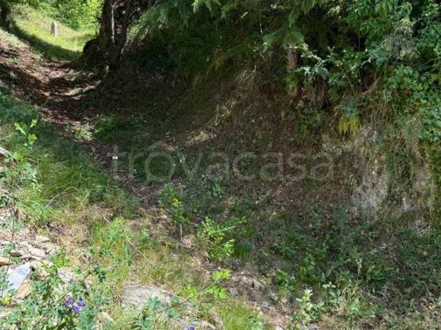 Rustico in vendita a Cosio Di Arroscia, Liguria