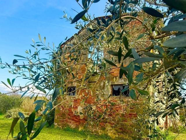 Rustico in vendita a Unione dei Comuni Circondario dell'Empolese Valdelsa, Fucecchio