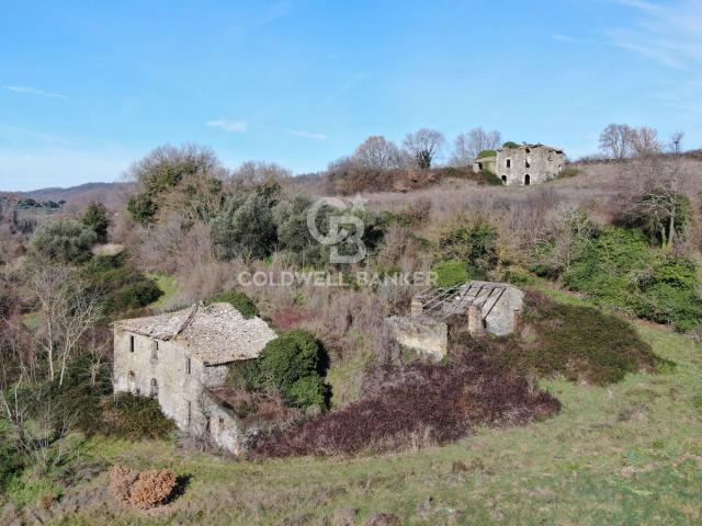 Rustico in vendita a Latera, Lazio