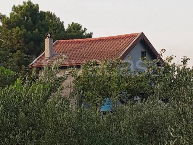 Rustico in vendita a Linguaglossa, Sicilia