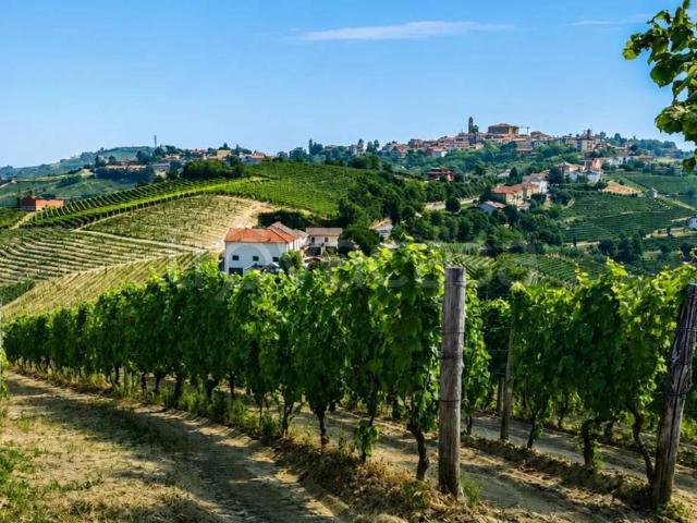 Rustico in vendita a Piemonte, Cuneo