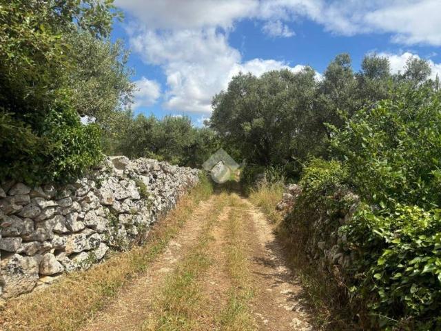 Rustico in vendita a Puglia, Taranto