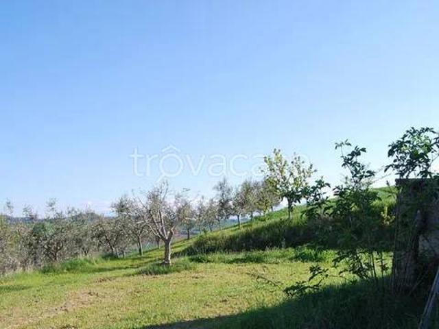 Rustico in vendita a Marche, Ascoli Piceno