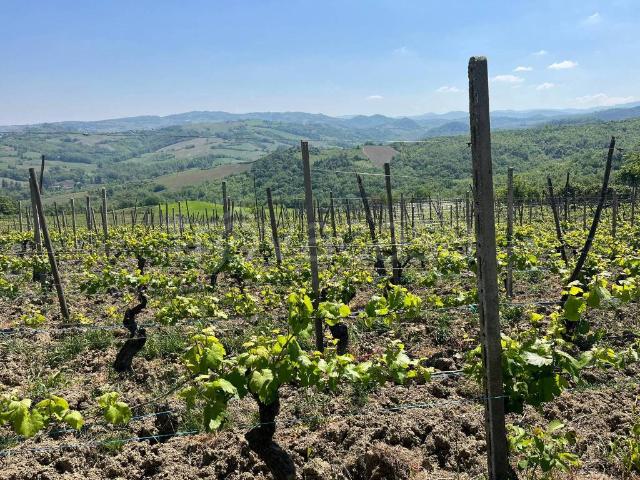 Rustico in vendita a Montalto Pavese, Lombardia