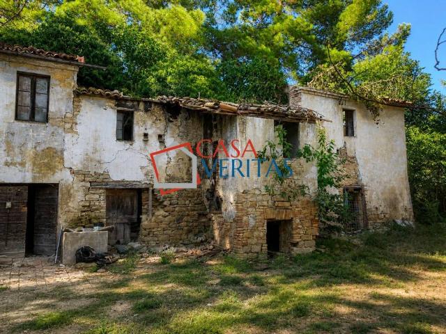 Rustico in vendita a Marche, Ancona