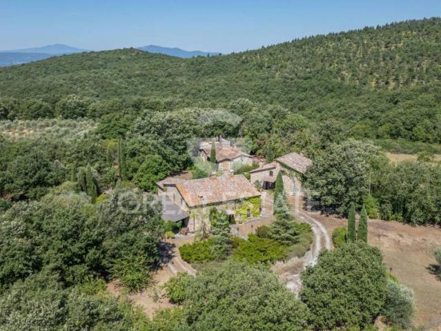 Rustico in vendita a Montegabbione, Umbria