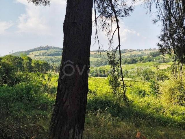 Rustico in vendita a Unione dei Comuni Circondario dell'Empolese Valdelsa, Montespertoli