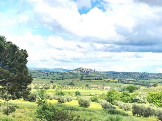 Rustico in vendita a Magliano In Toscana, Toscana