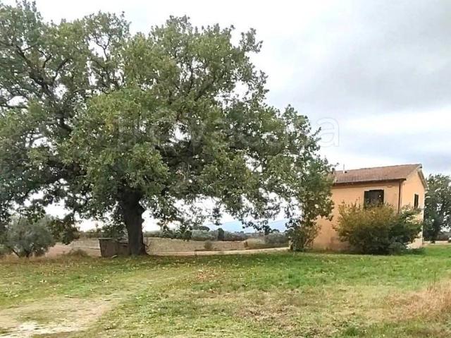 Rustico in vendita a Unione di Comuni Montani Colline del Fiora, Pitigliano