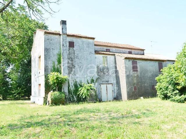 Rustico in vendita a Poiana Maggiore, Veneto