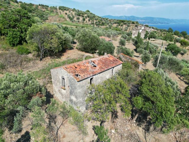 Rustico in vendita a Pollica, Campania