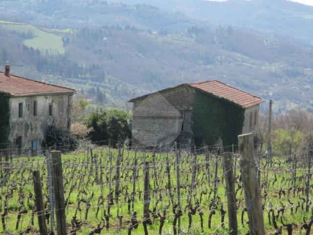 Rustico in vendita a la Selva, Pontassieve