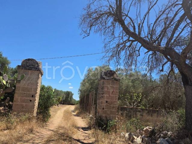 Rustico in vendita a Punta Grossa, Puglia