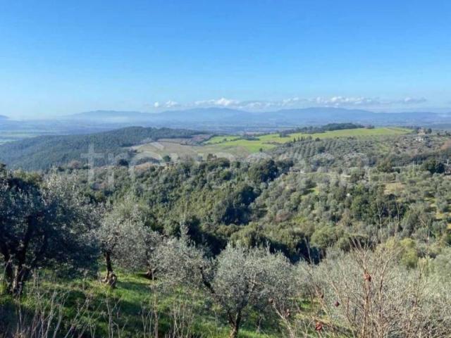 Rustico in vendita a Roccastrada, Toscana
