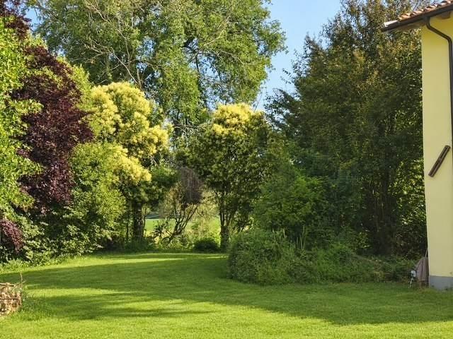 Rustico in vendita a Scarperia e San Piero, Scarperia