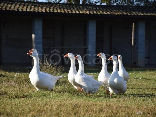 Rustico in vendita a Spessa, Lombardia