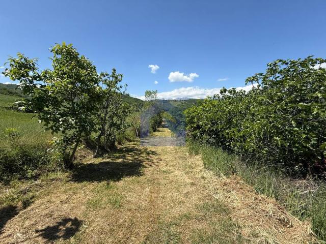 Rustico in vendita a Torricella Peligna, Abruzzo