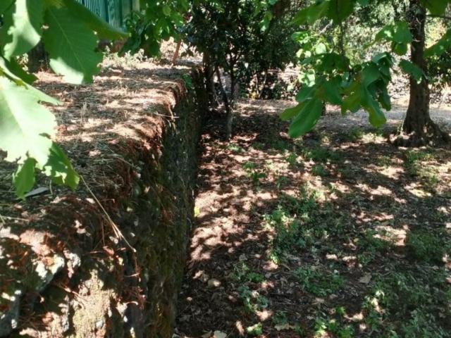 Rustico in vendita a Lavina, Aci Sant'Antonio