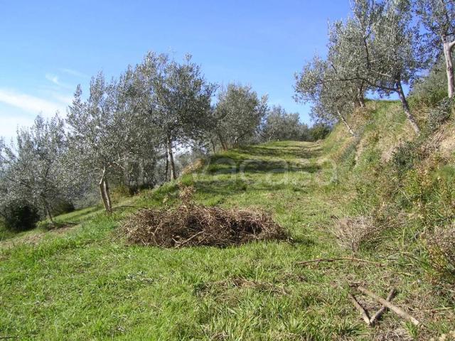 Rustico in vendita a Col d'Erba III, Assisi