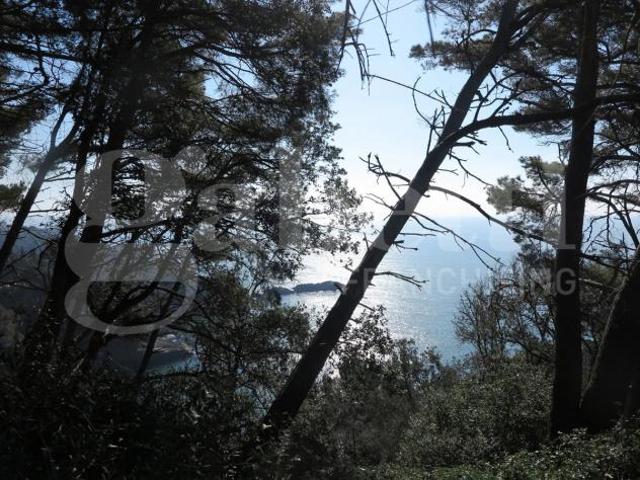 Box in vendita a Lerici, Liguria