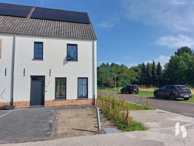 Maison location à Lommel, Limburg