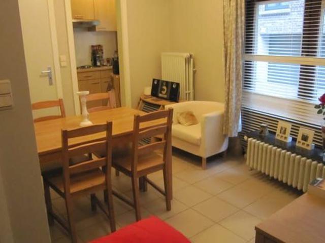 Kot location à Desteldonk, Oost-Vlaanderen