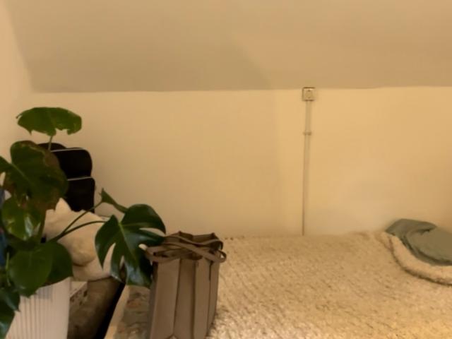 Kamer te huur in Renkum, Gelderland