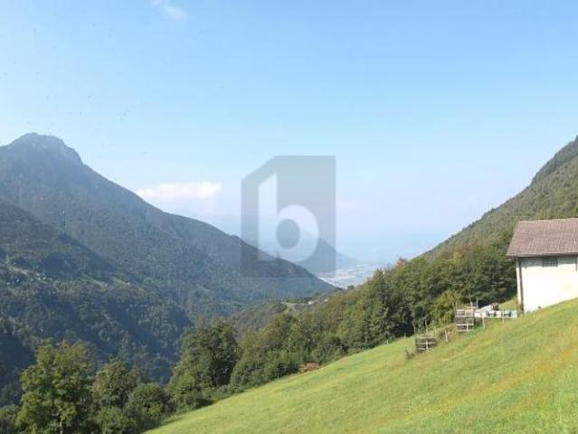 Wohnung mieten in Campo (Vallemaggia), Tessin