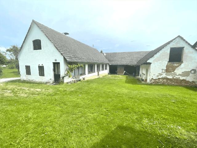 Haus kaufen in St. Martin an der Raab, Drosen