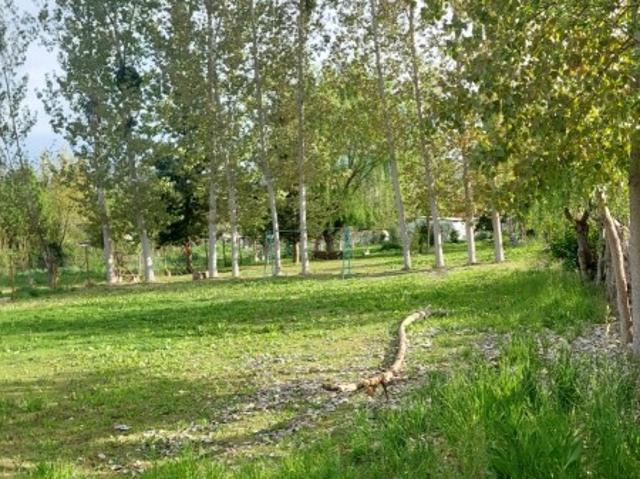 RUTA H, 590 LOTE 1, CHILLEHUE