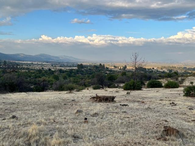 Terreno en venta en Linares, Maule