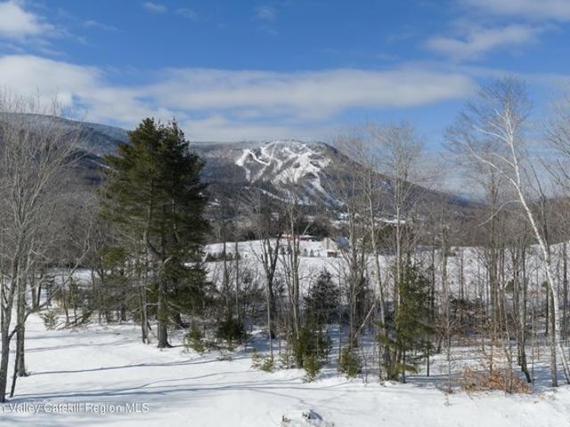 Land for sale in East Jewett, New York