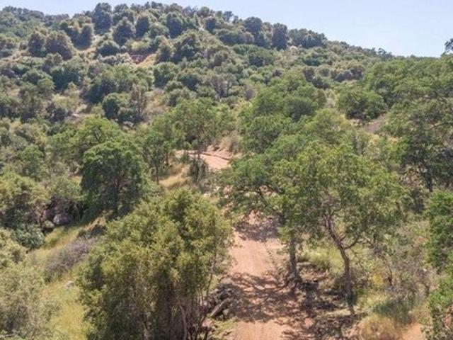 Land for sale in Squaw Valley, California