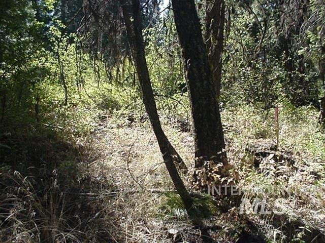 Land for sale in Cascade, Idaho