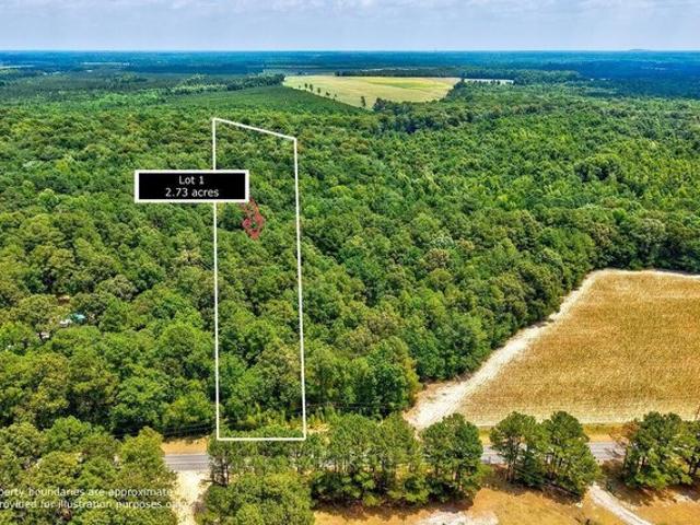 Land for sale in Autryville, North Carolina