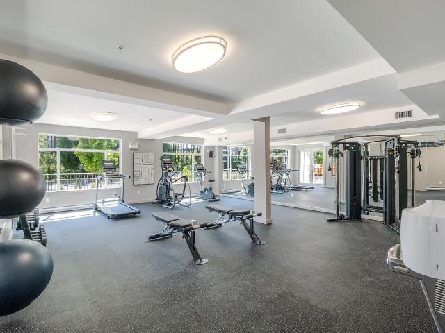 Apartment for rent in Nanaimo, British Columbia