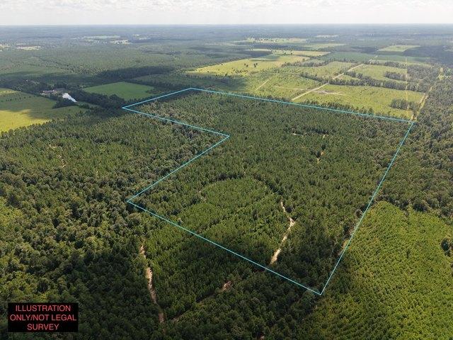 Land for sale in Deridder, Louisiana