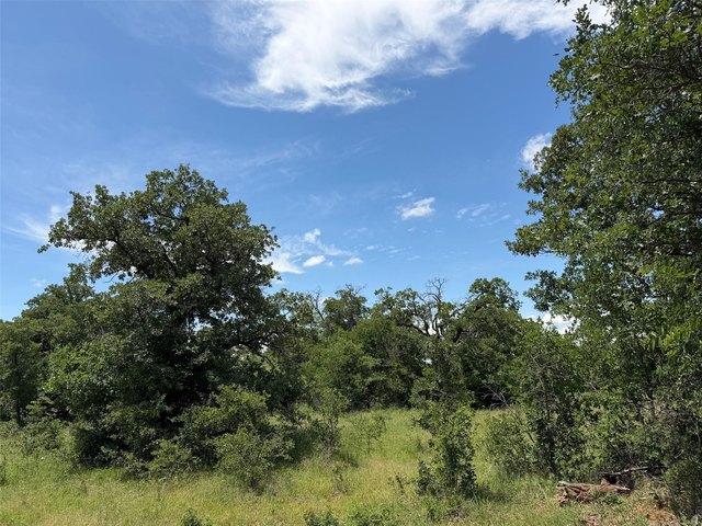 Land for sale in De Young, Texas