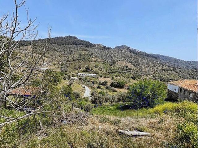 İzmir Merkez içerisinde satılık Tarla