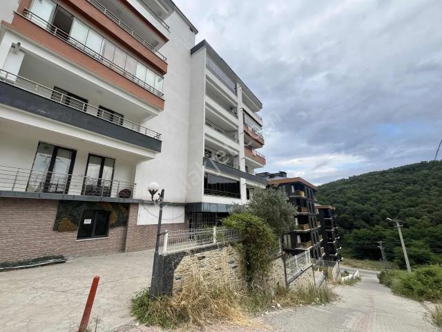 Atakum, Samsun içerisinde kiralık mülk