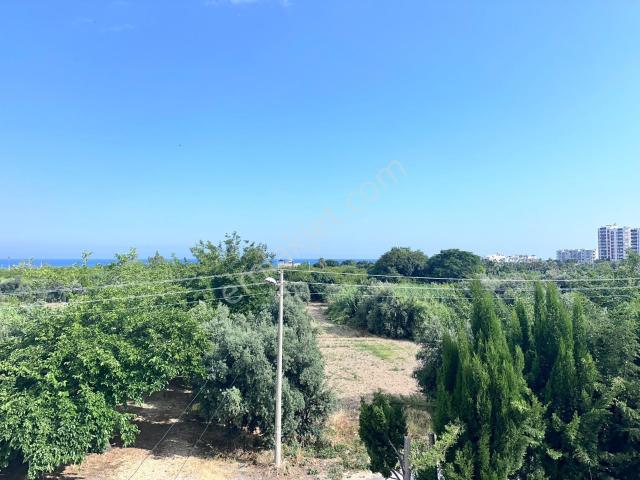 Mezitli, Mersin içerisinde kiralık Villa