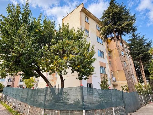 Çankaya Mahallesi, Odunpazarı içerisinde kiralık mülk