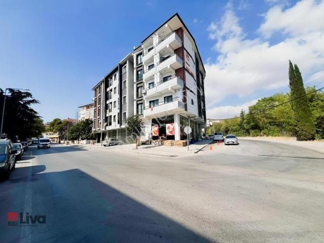 Balikesir içerisinde kiralık mülk