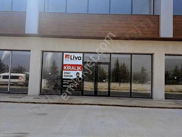 Balikesir içerisinde kiralık Dükkan