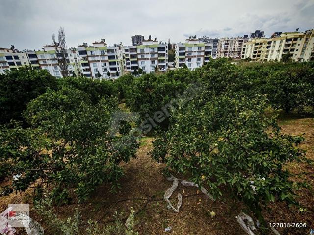 Toroslar, Mersin içerisinde satılık mülk