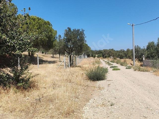 Gömeç, Balikesir içerisinde satılık Arsa