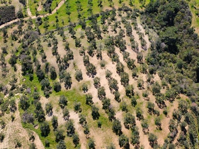 Burhaniye, Balikesir içerisinde satılık mülk