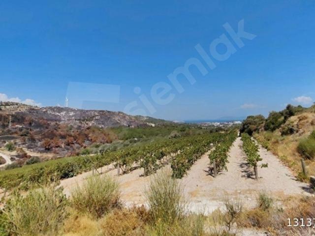 Çeşme, İzmir içerisinde satılık Arsa