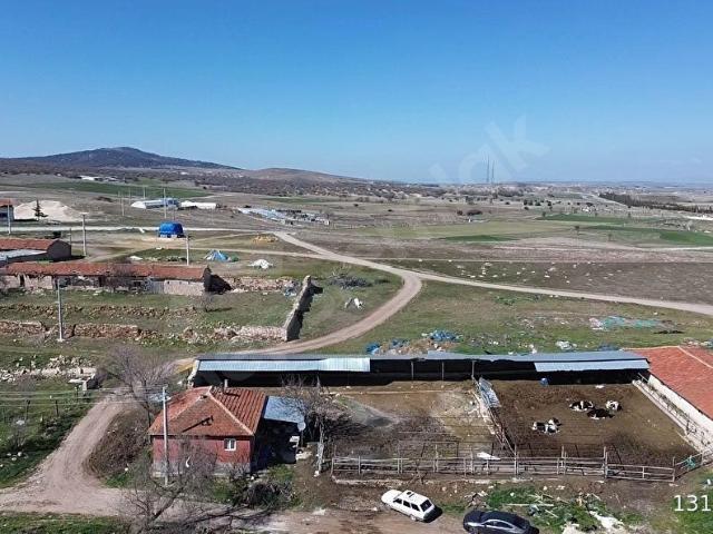 Taşlıkköy, Seyitgazi içerisinde satılık Fabrika